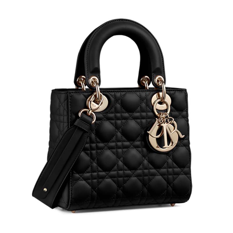 abcdior lambskin bag