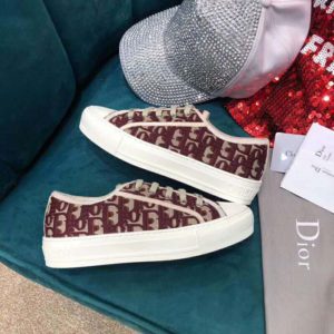 pink dior vans