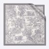Dior Women Toile De Jouy Square Scarf Gray Silk Twill