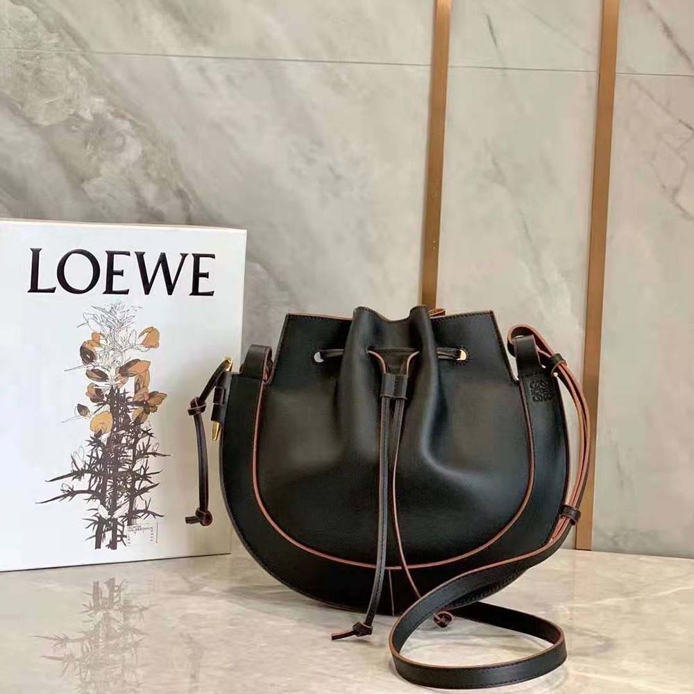 loewe horseshoe bag review