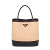 Prada Women Prada Panier Medium Straw Bag