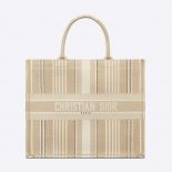 Dior Women Dior Book Tote Beige Stripes Embroidery