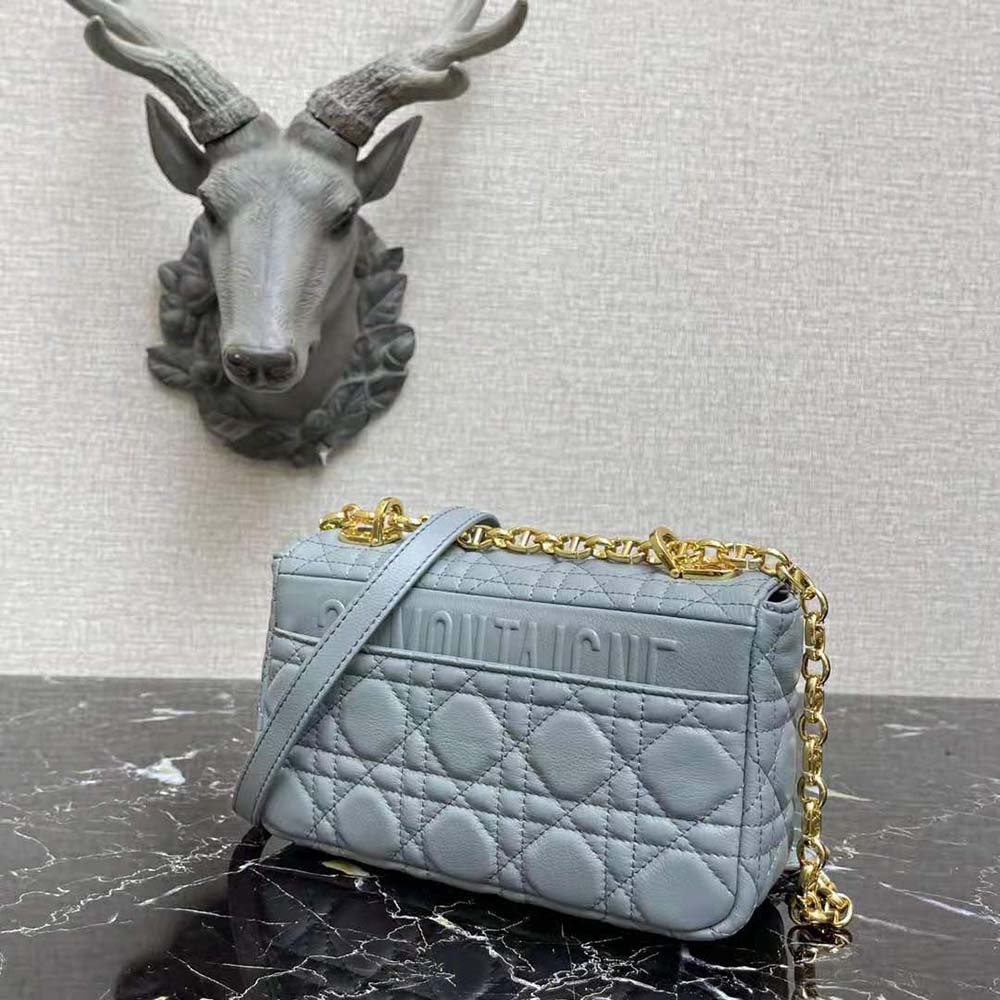 blue the chanel parfums bag
