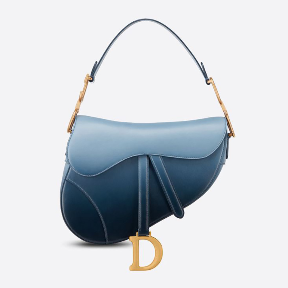 dior saddle calfskin