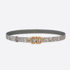 Dior Women Saddle Belt Gray Dior Oblique Jacquard 20 MM