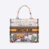 Dior Women Small Dior Book Tote Latte Dior Ciel de Rêve Embroidery