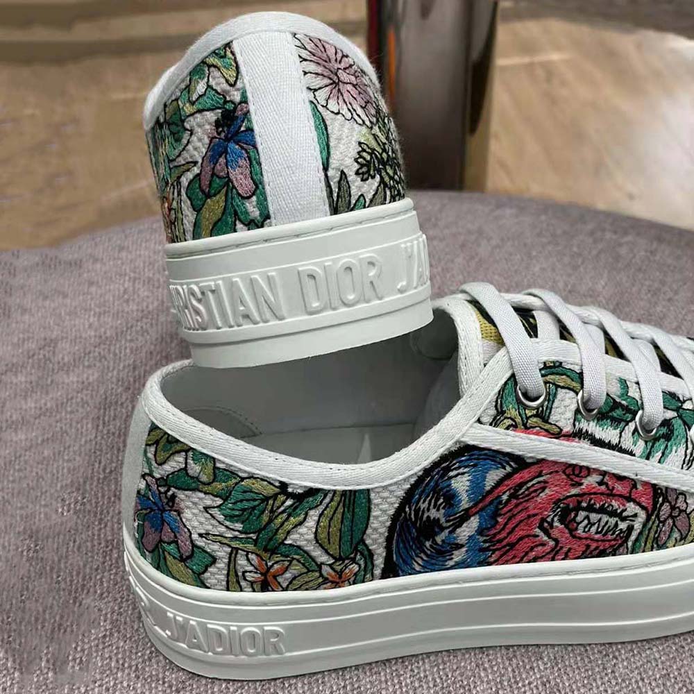 dior multicolor shoes