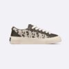 Dior Men B33 Sneaker - Limited and Numbered Edition Khaki Smooth Calfskin