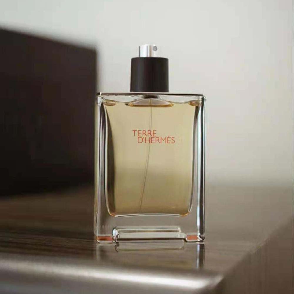 Hermes Women Terre D'hermes Eau de Toilette 2 Hermes Women Terre D'hermes Eau de Toilette - Image 2