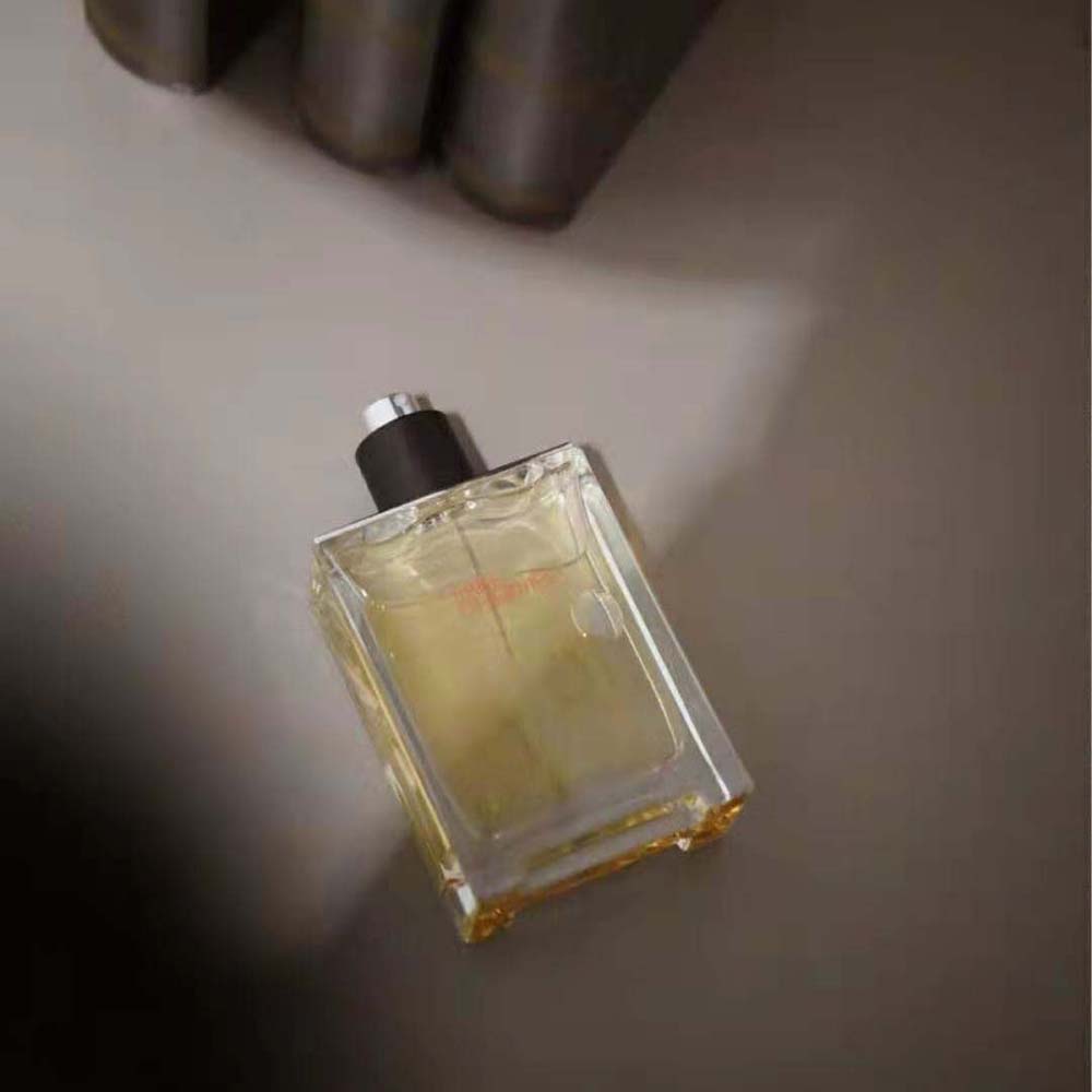 Hermes Women Terre D'hermes Eau de Toilette 3 Hermes Women Terre D'hermes Eau de Toilette - Image 3