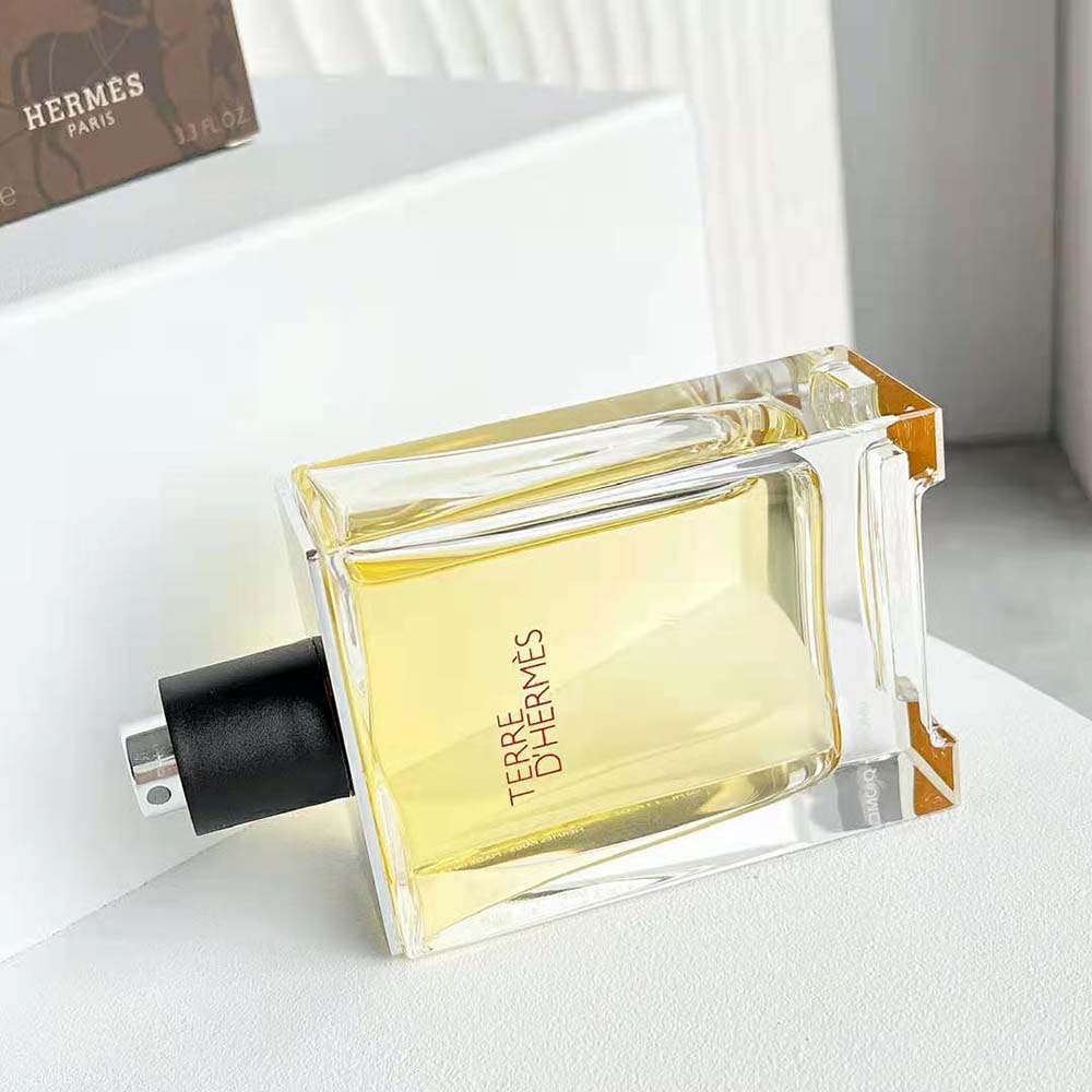 Hermes Women Terre D'hermes Eau de Toilette 10 Hermes Women Terre D'hermes Eau de Toilette - Image 10