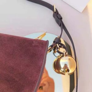Burberry Women Small Shield Sling Bag-Brown 80755741