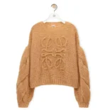 Loewe Women Anagram Sweater in Mohair-Brown S359Y14KBO