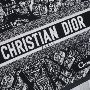 Dior Women Black and White Plan de Paris Embroidery with Black Calfskin