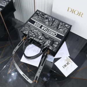 Dior Women Black and White Plan de Paris Embroidery with Black Calfskin