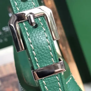 Goyard Unisex Hirondelle Bag-Green HIRONDPMLTY09CL09P