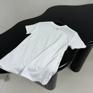Embroidered T-Shirt White Cotton Jersey with Gold-Tone Dior Astral Motif