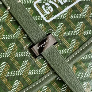 Goyard Unisex Belvedere PM Bag-Green BELGYDPMLTY29CG29P