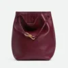 Bottega Veneta Women Andiamo Bucket in Silky Calf Leather-Maroon 844169V