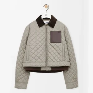 Loewe Men Short Jacket in Technical Fabric-Grey S359Y02XFH