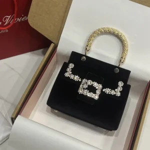Roger Vivier Women Cabas Jewel Efflorescence Mini Bag in Velvet-Black