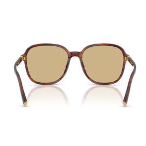 Miu Miu Women Miu Regard Sunglasses SMUB01E26EFE10R