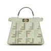 Fendi Women Peekaboo ISeeU Mini Leather Bag with FF Interlacing